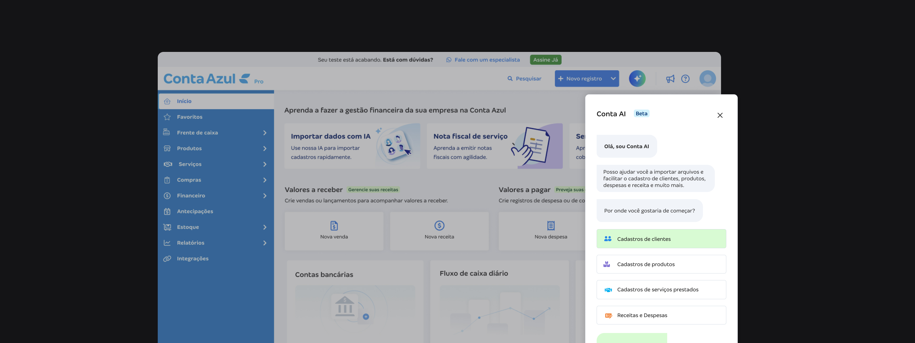 AI Data Input